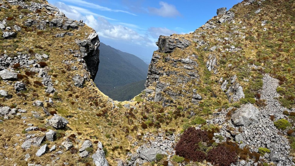 West Coast alpine