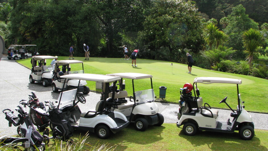Putting green Lakes Resort, Pauanui