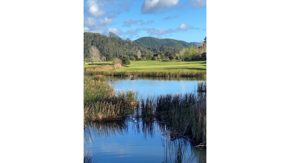 Lakes Resort, Pauanui