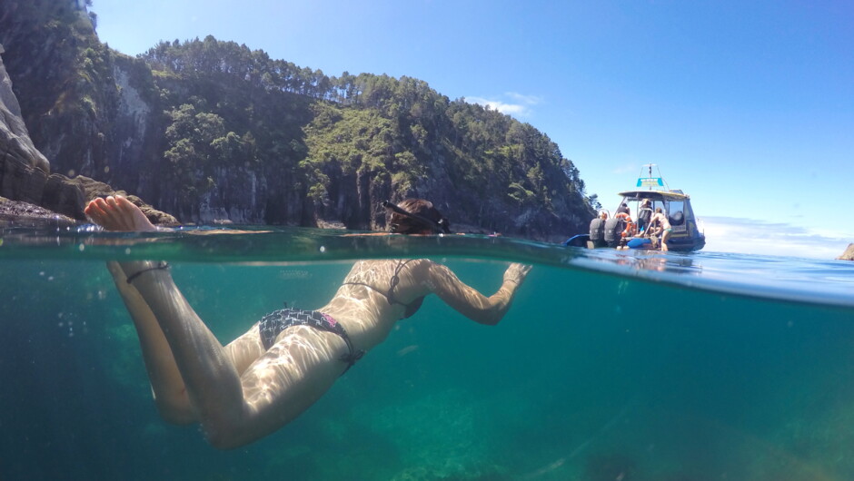 Snorkeling available