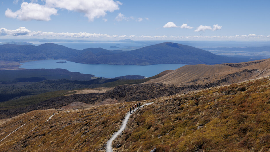 Lake Views Along the Track