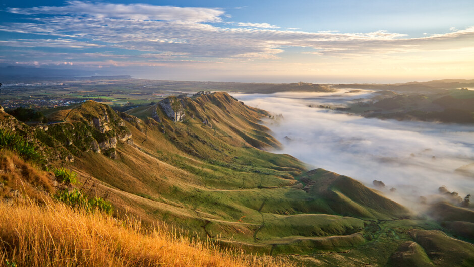 Te Mata Peak