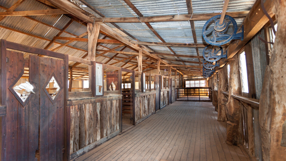 Shearing shed