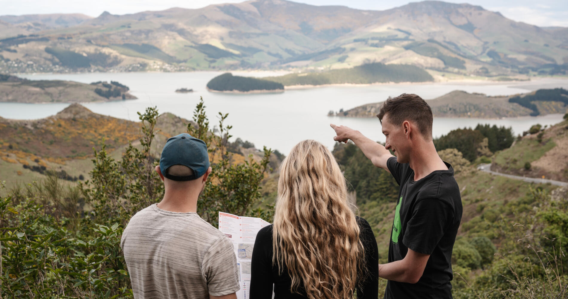 Christchurch Highlights Tour - Full Day Private | Activities & Day ...