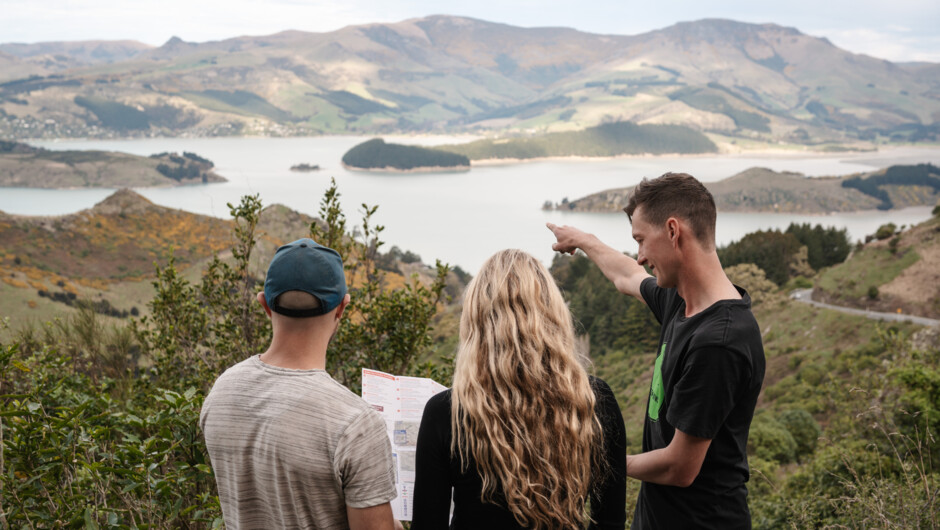 Lyttelton Harbour