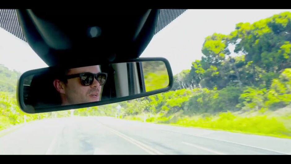 Paparoa Track
