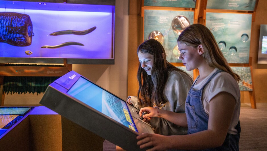 Te Papa