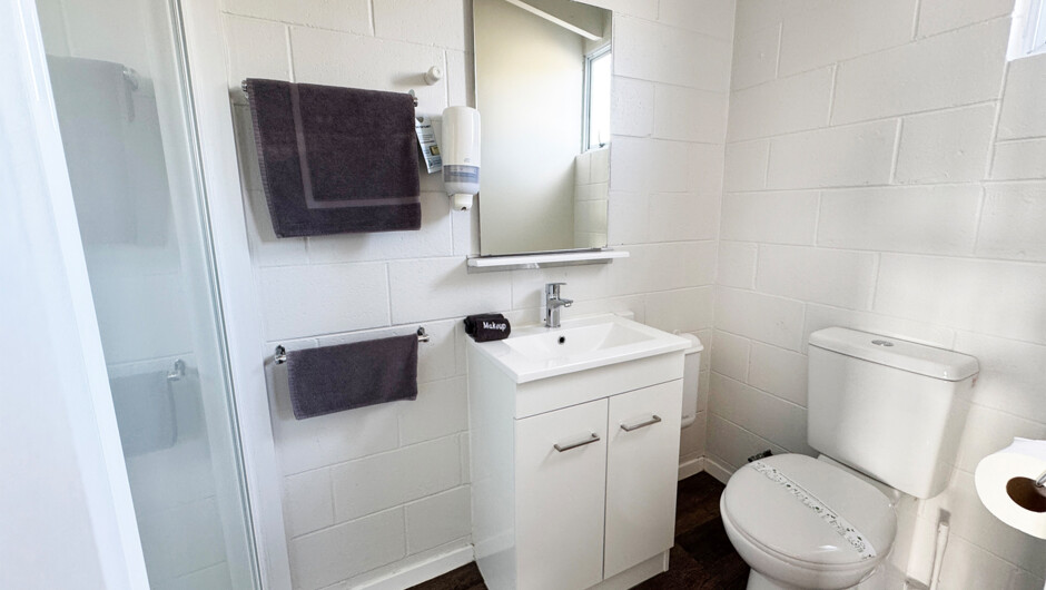 Private bathroom with shower and toilet