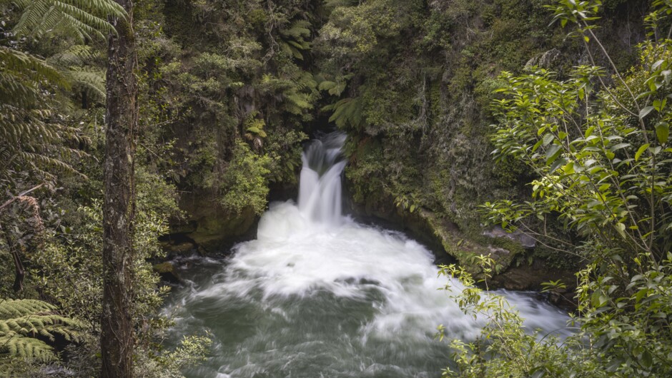Okere Falls Rotorua