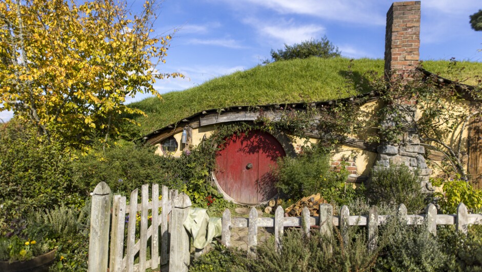 Hobbiton Movie Set Tour