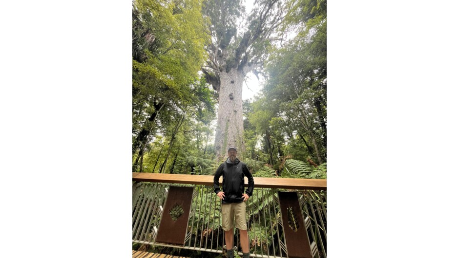 Tāne Mahuta, the "Lord of the Forest"