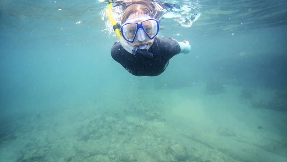 Snorkeling Goat Island