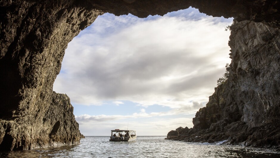 Goat Island Marine Reserve