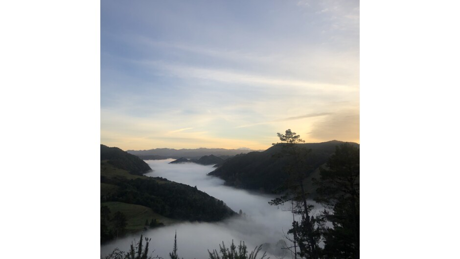 Aramoana Reserve