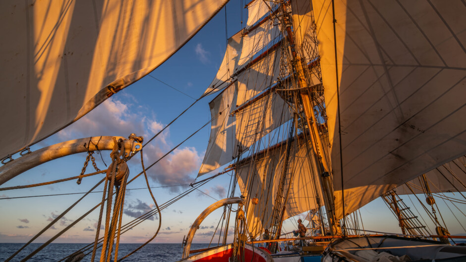 Sails up