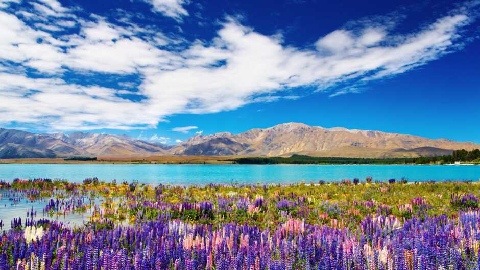Beautiful scenery