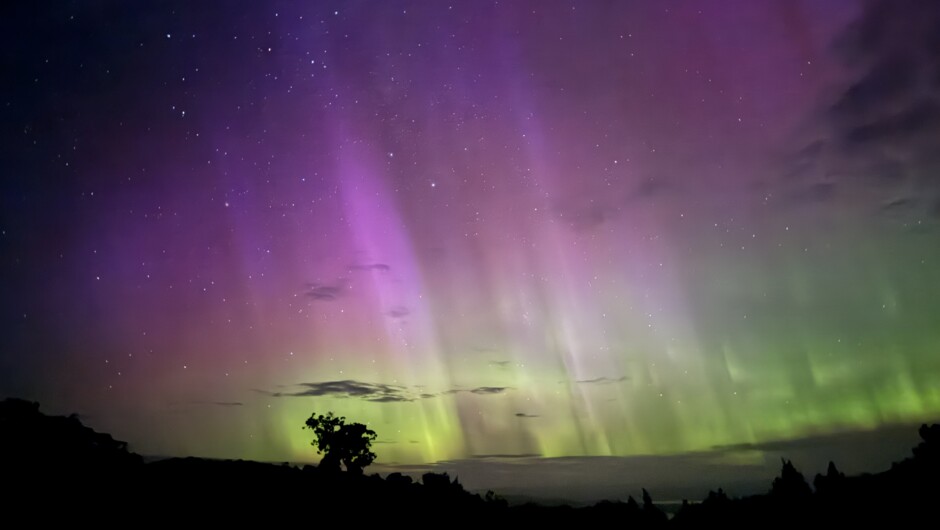 Kiwi spotting with Aurora Australis