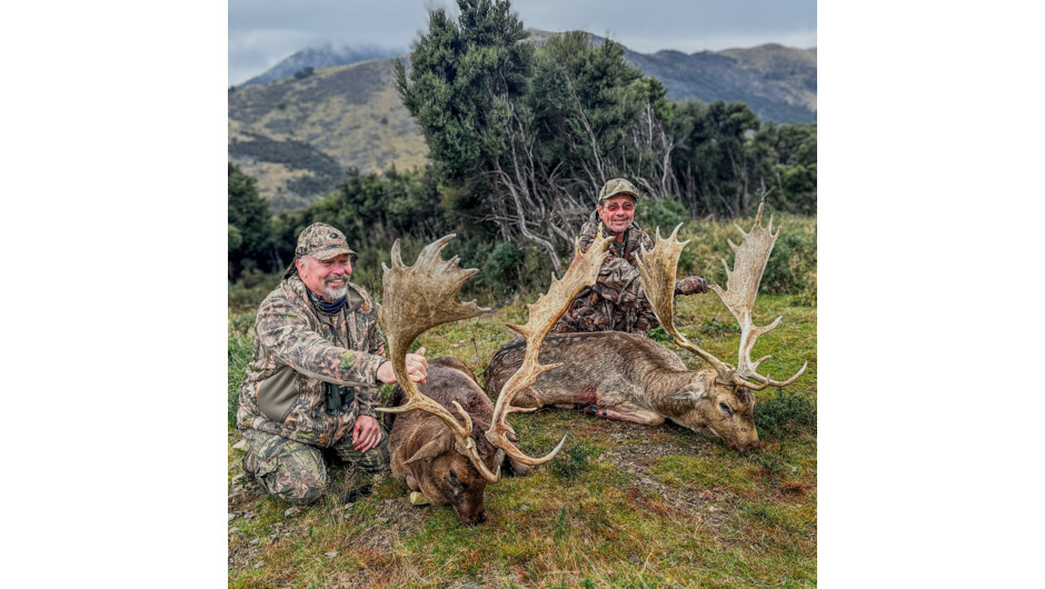 Two exceptional New Zealand fallow trophies, taken in private high-country terrain with experienced guides alongside.
A personalised guided hunting experience with Backcountry New Zealand Outfitters — quality animals, genuine country and one hunting part