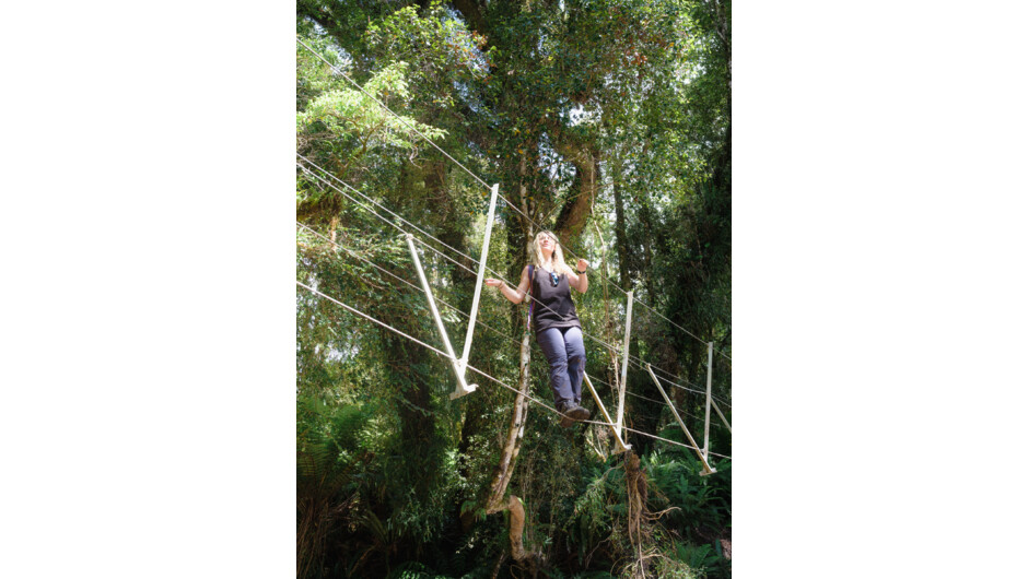 The three wire walk - challenging