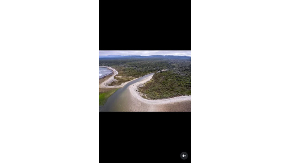 The Waitutu wilderness