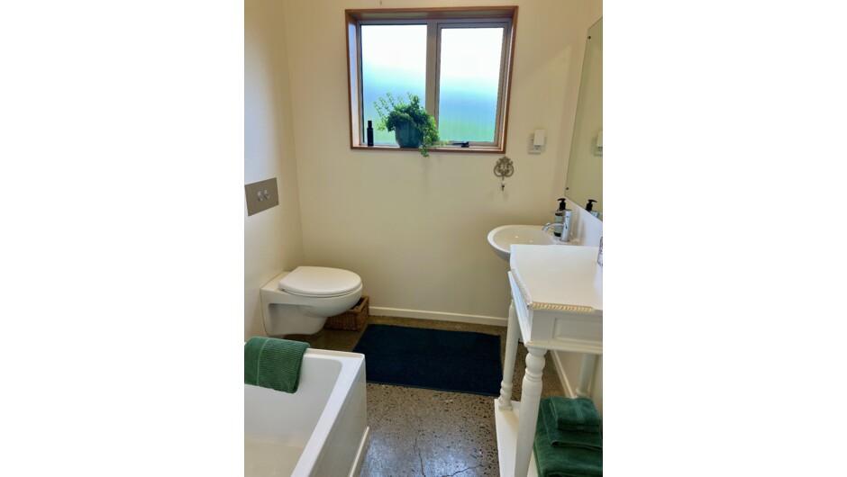 Downstairs Bathroom - Shower over small shub bath