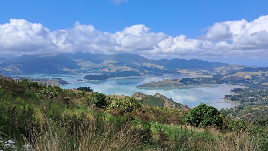 Lyttleton Harbour