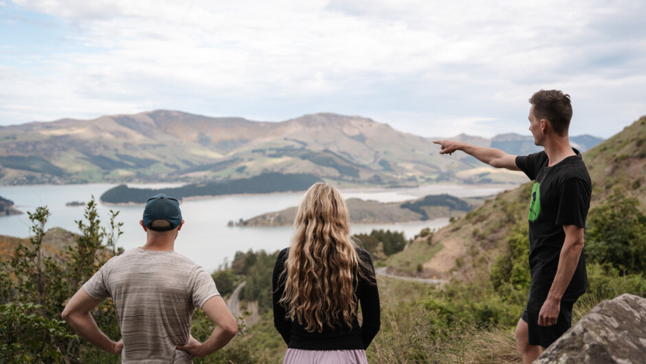 Lyttleton Harbour