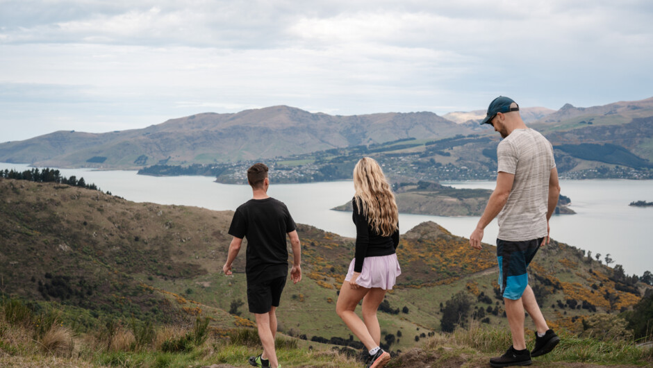 Crater Rim of Banks Peninsula
