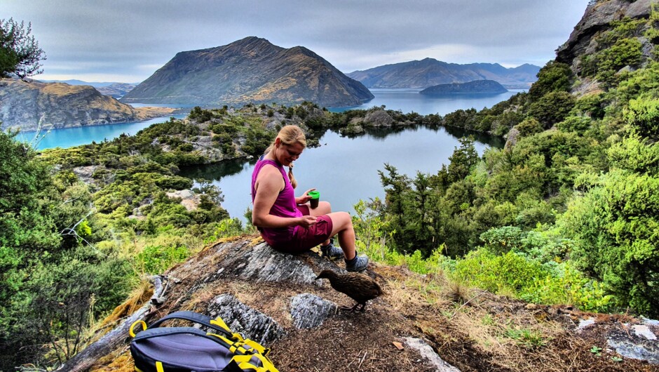 Enjoy "high" tea with a view &amp; some locals