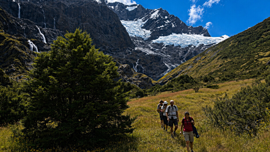 Walk through the valley to Rob Roy Glacier