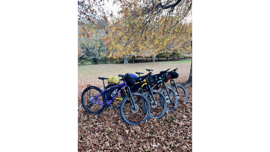 Our fleet