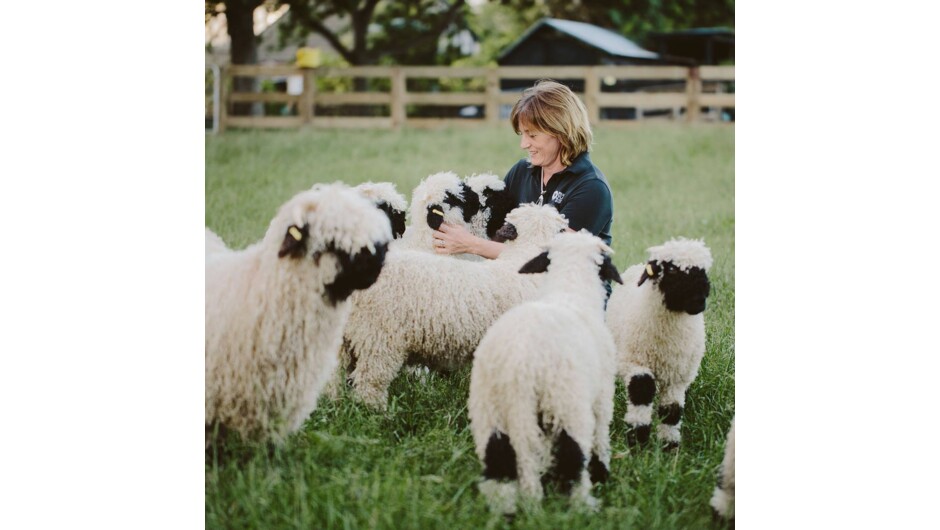 Interact with the animals