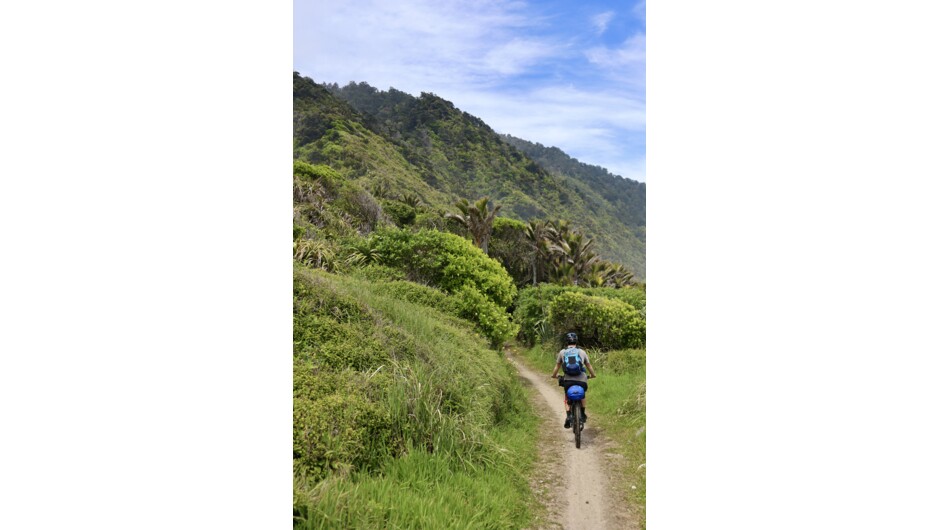 Explore some of the best bike touring trails in the world