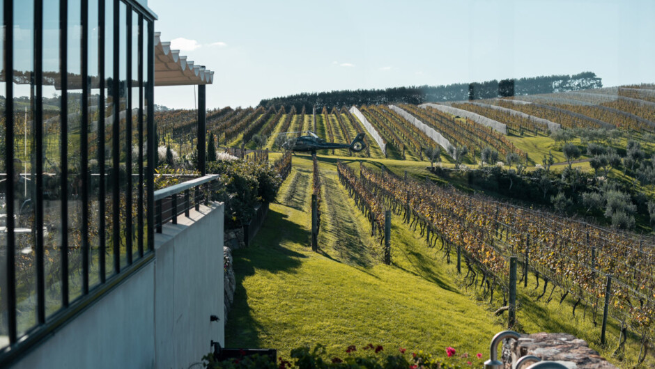 Touching down in paradise! Ready to savour local delights amidst vineyard views