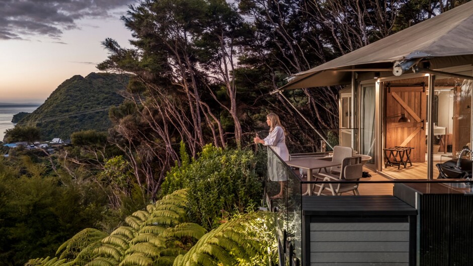 Tent Kanuka - perched high up into the trees