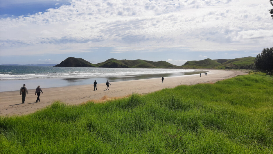 Port Jackson Beach