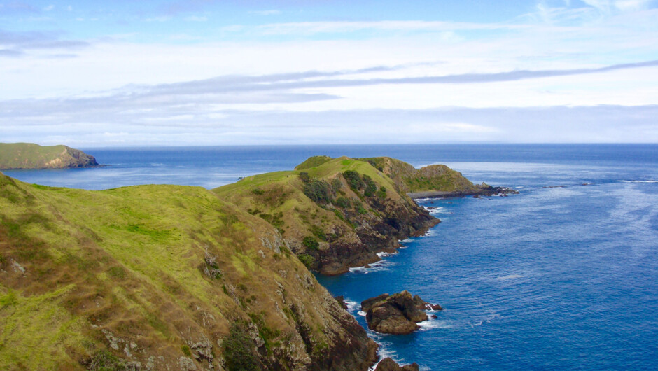 The Muriwai Walk