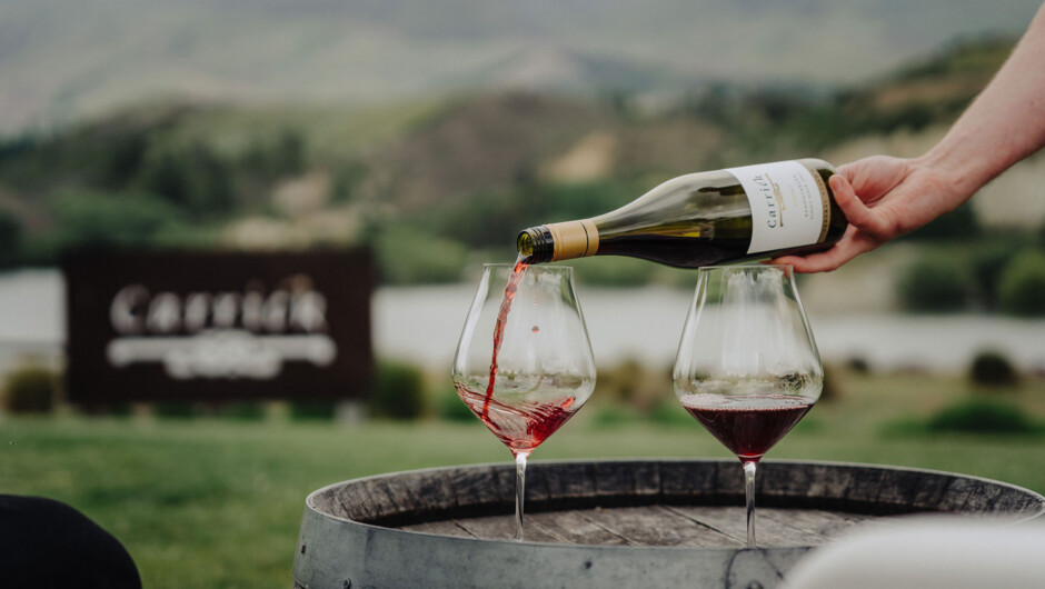 Pinot Noir Tasting