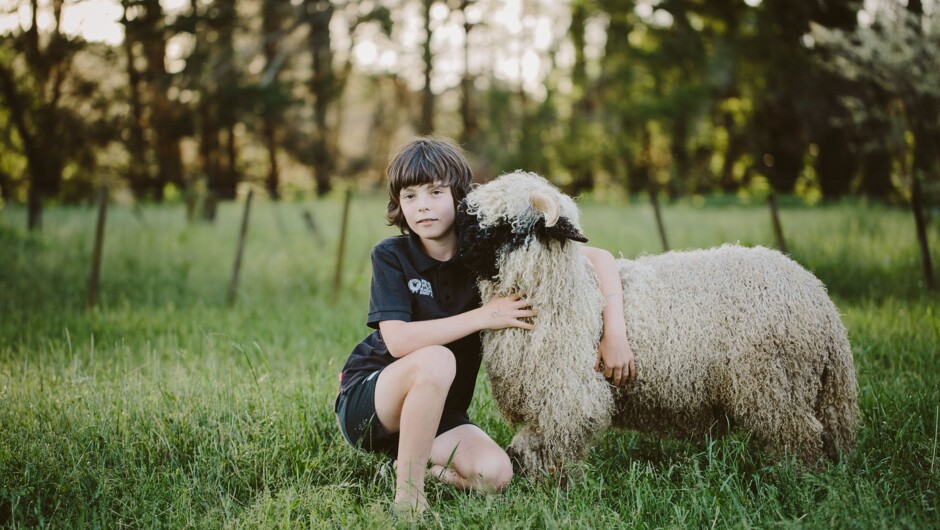 Meeting the world's cutest sheep - Exploring Rose Creek Farm