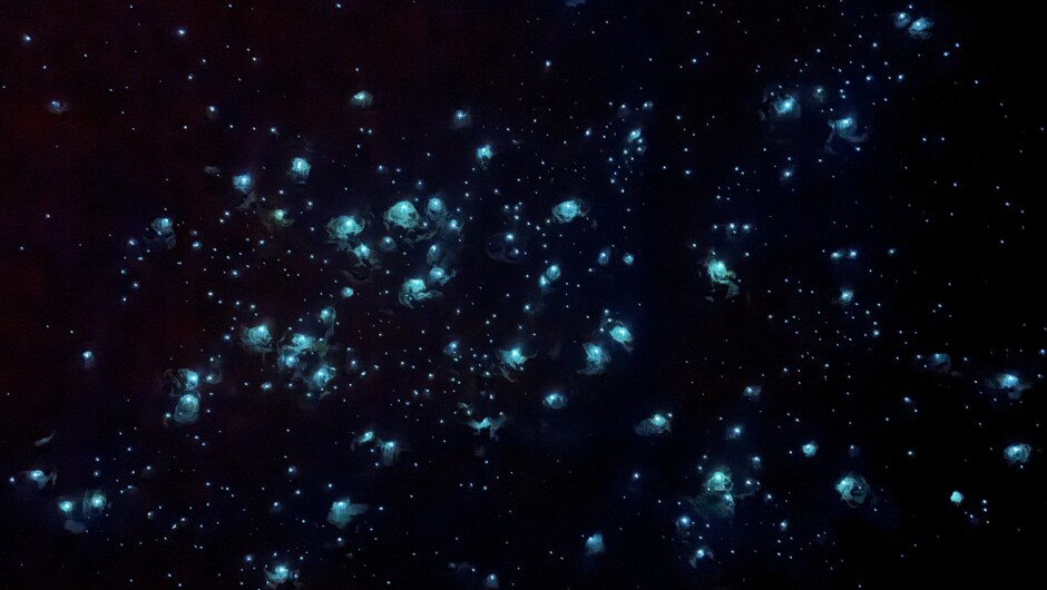 Inside the glowworms dome