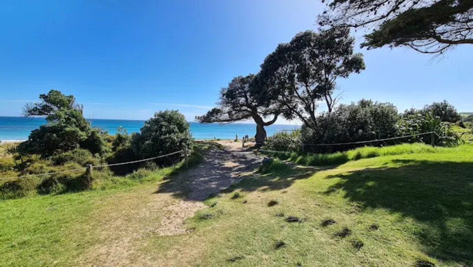 Kiwi Wilderness Experience