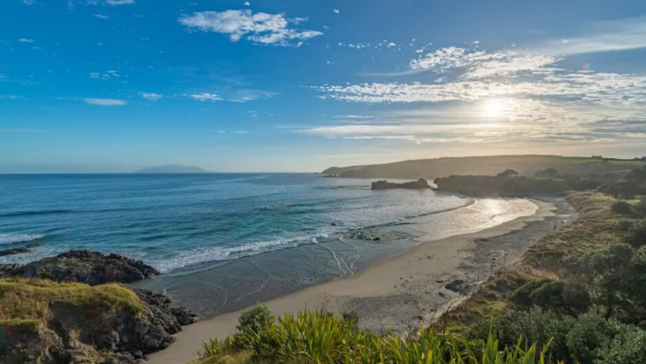 Kiwi Wilderness Experience