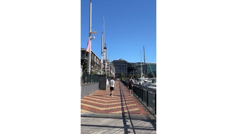 The stunning Viaduct Harbour - one of the key locations in City Decoder Auckland