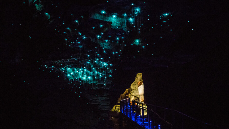 Glowworms above Waitomo River