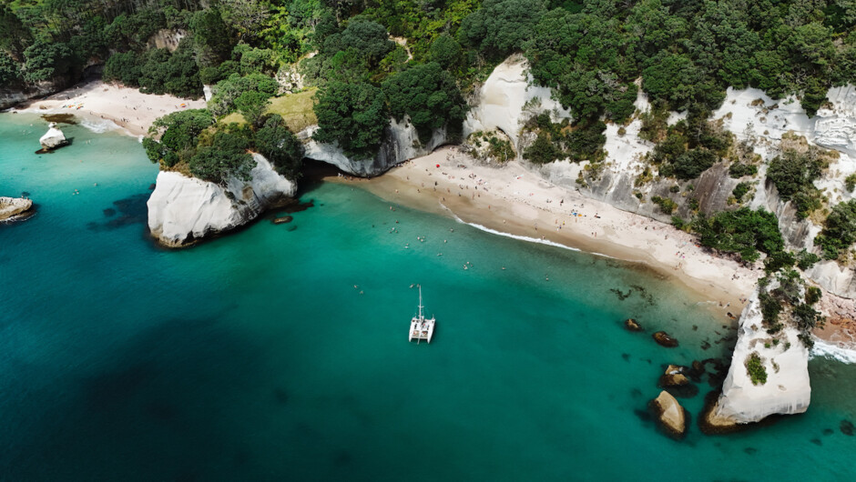 Ocean adventures to the Mercury Islands and beyond, from sailing and island hopping to snorkelling, diving and fishing in pristine coastal waters.