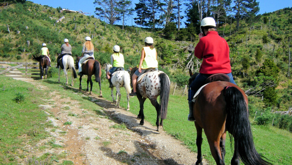 Horse Riding