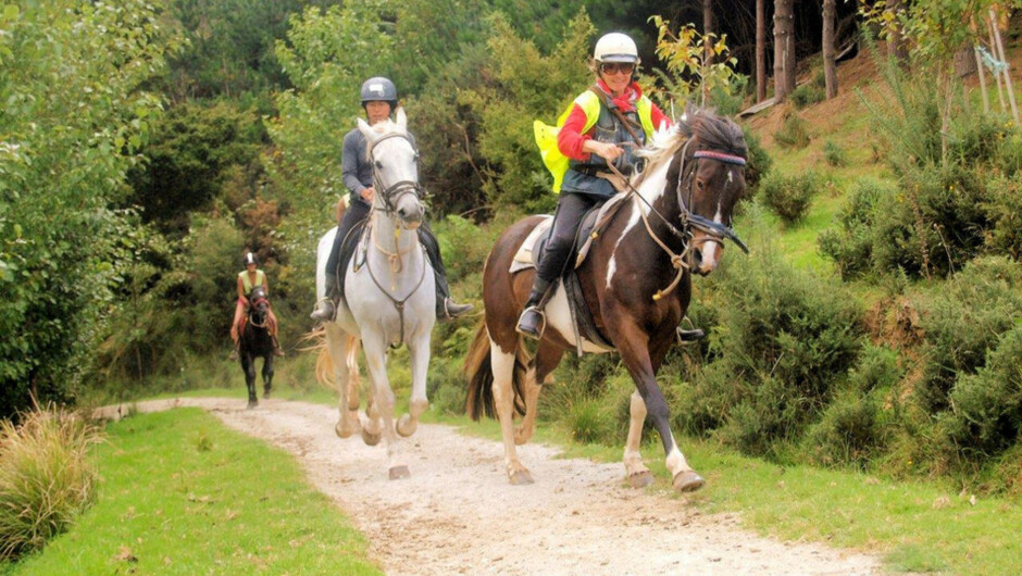 Horse Riding