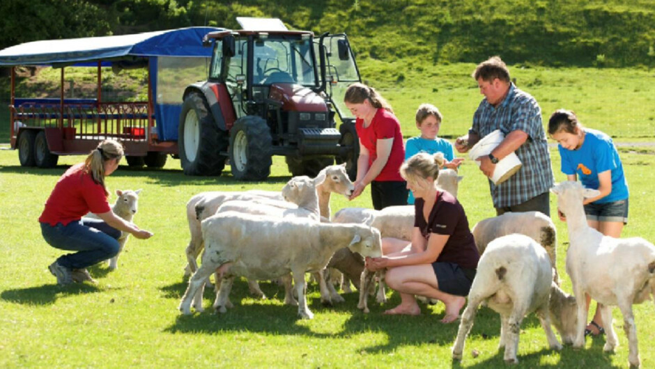 Agrodome