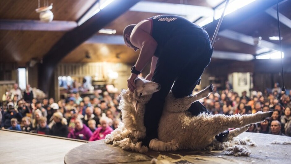 Agrodome