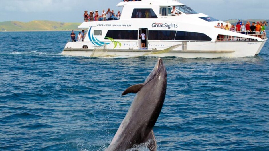 Bay of Islands